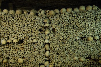 Schädel und Knochen in einem Beinhaus (2008)<br />(© KoS / Wikimedia)