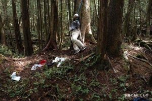 Aokigahara-forest-of-suicides-015.jpg