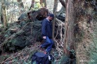 Aokigahara-forest-of-suicides-016.jpg