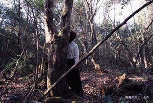 Aokigahara-forest-of-suicides-017.jpg