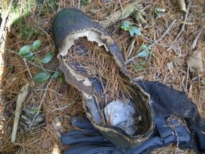 Aokigahara-forest-of-suicides-011.jpg