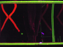 PSI-Investigation Calypso 027