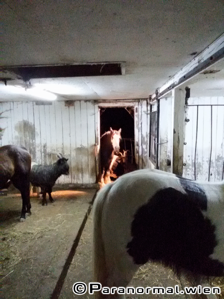 Ghosthuntertreffen 2015 - Impressionen 009