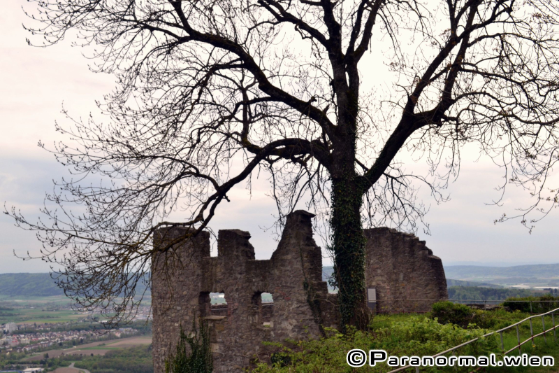 Ghosthuntertreffen 2015 - Impressionen 065