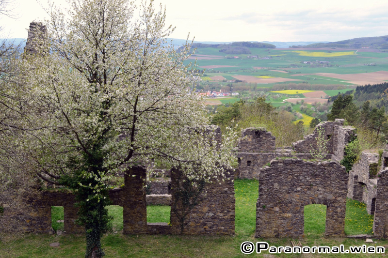 Ghosthuntertreffen 2015 - Impressionen 073