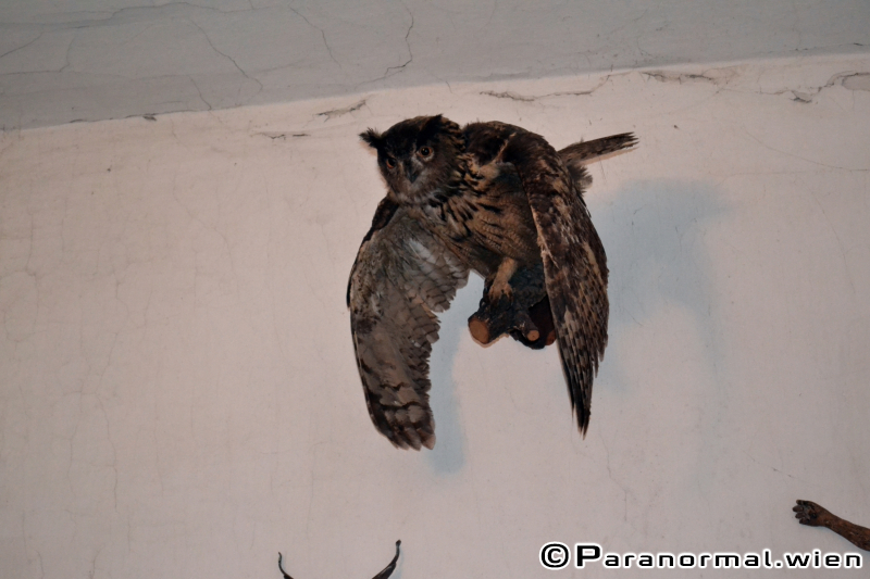 Paranormalwien - Gemeindekotter 043