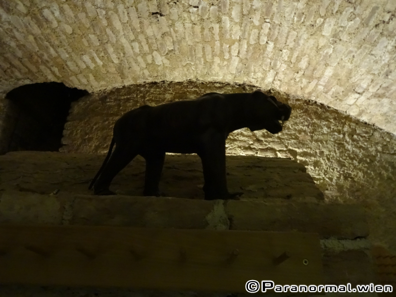 paranormalwien - derkeller 38