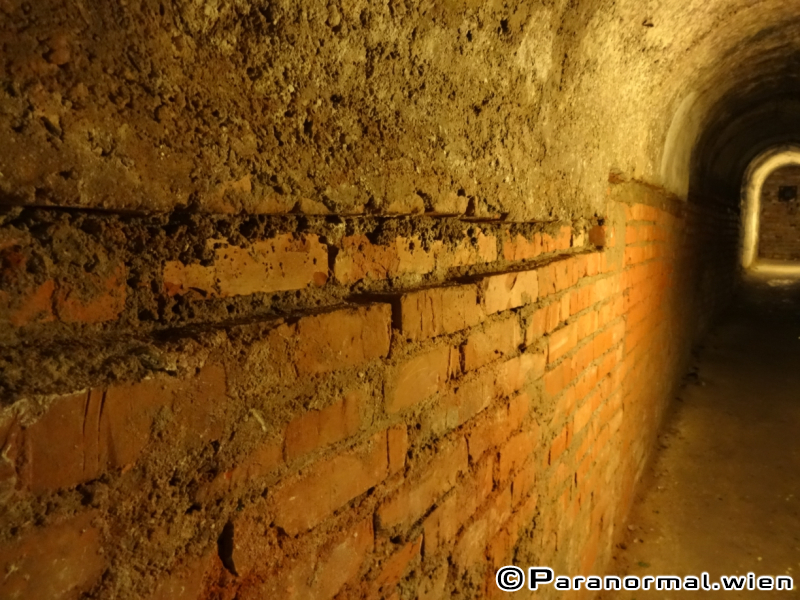 paranormalwien - derkeller 41