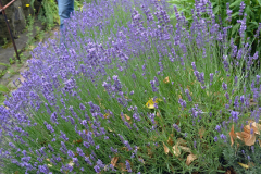 Ghosthuntertreffen 2017 - 076