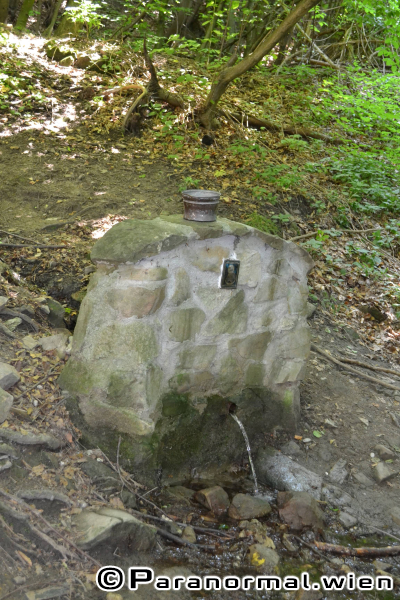 paranormalwien KlosterruineRiederberg - 014