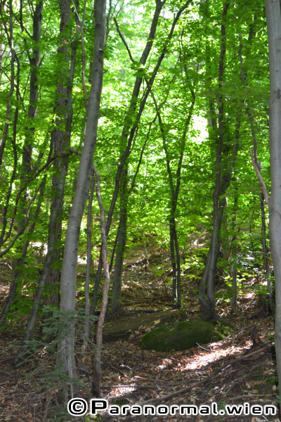 paranormalwien KlosterruineRiederberg - 018