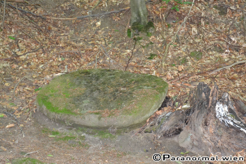 paranormalwien KlosterruineRiederberg - 019