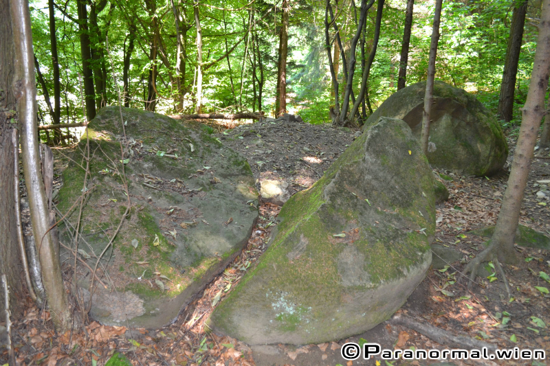 paranormalwien KlosterruineRiederberg - 024