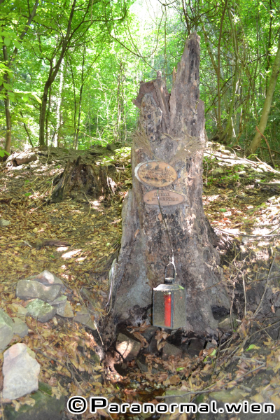 paranormalwien KlosterruineRiederberg - 025