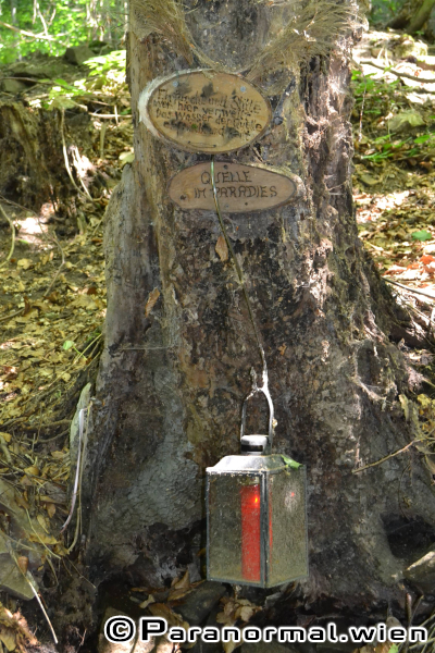 paranormalwien KlosterruineRiederberg - 026