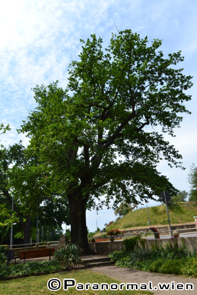 Ghosthuntertreffen 2019 - 105