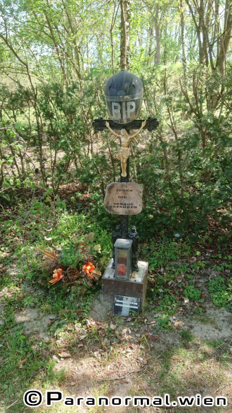Friedhof der Namenlosen 007 1